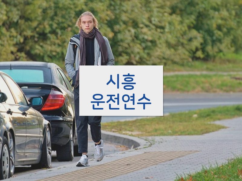 시흥운전연수 후기