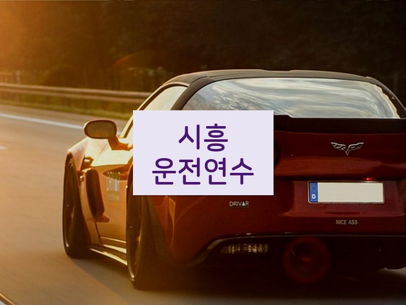시흥운전연수 후기
