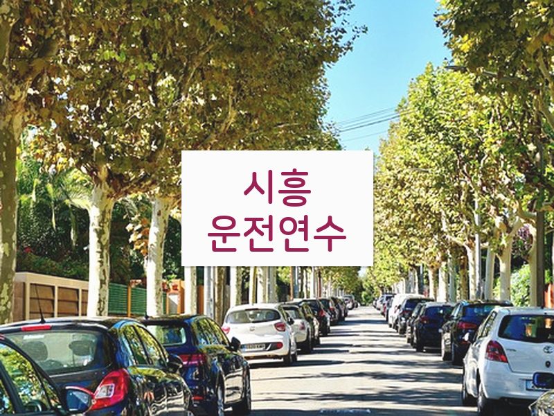 시흥운전연수 후기