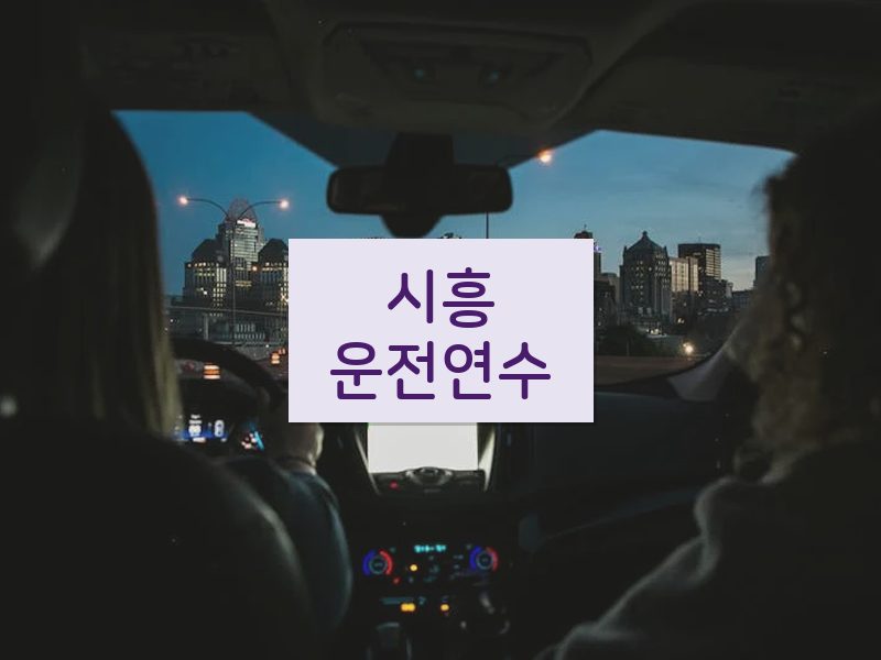 시흥운전연수 후기
