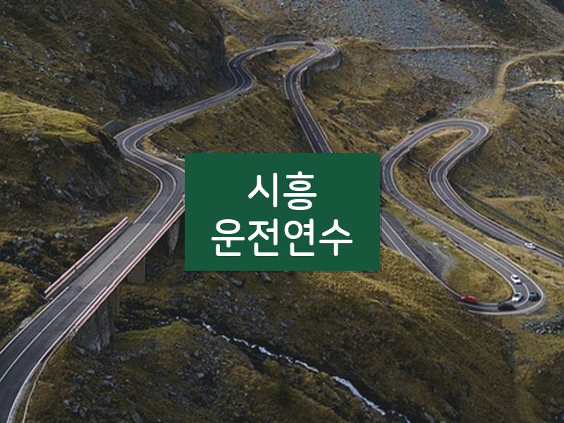 시흥운전연수 후기