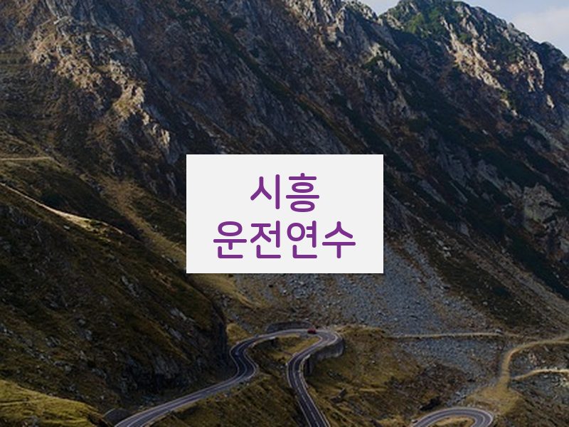 시흥운전연수 후기