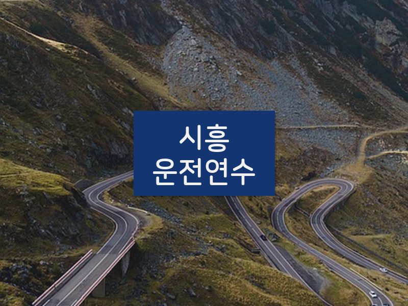 시흥운전연수 후기