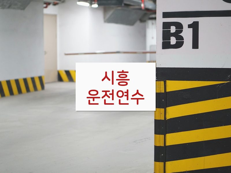 시흥운전연수 후기