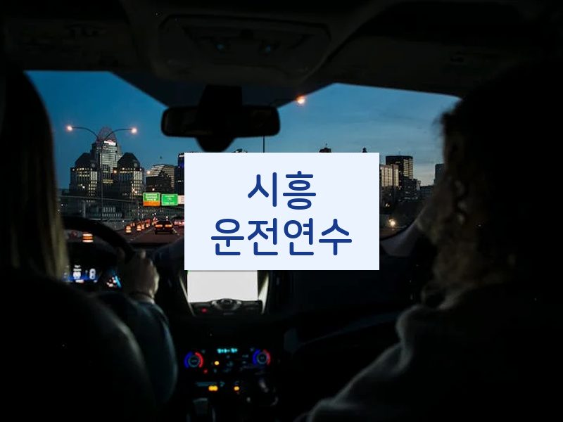 시흥운전연수 후기