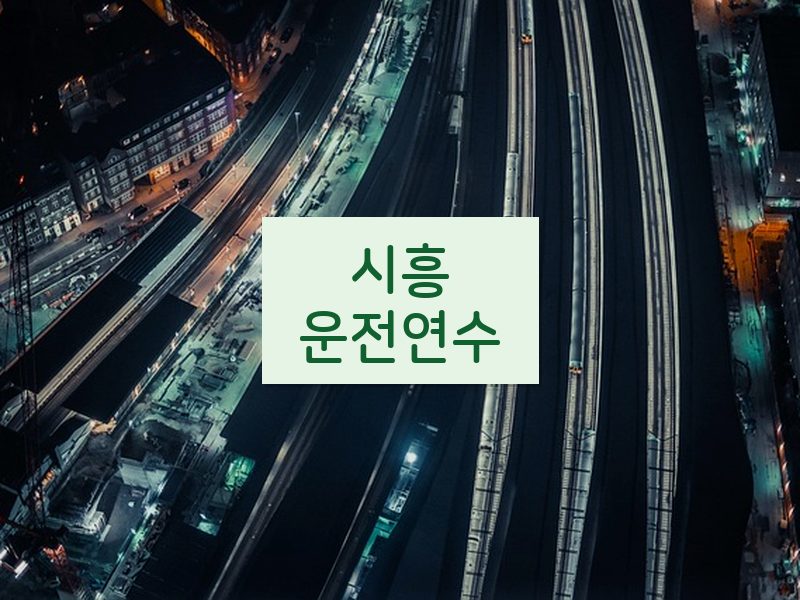 시흥운전연수 후기