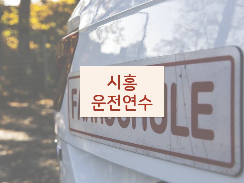 시흥운전연수 후기