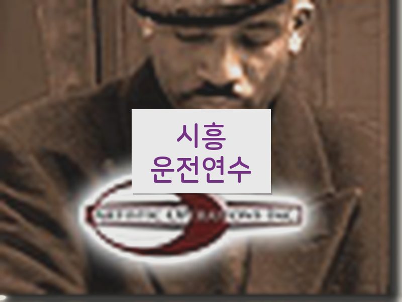 시흥운전연수 후기