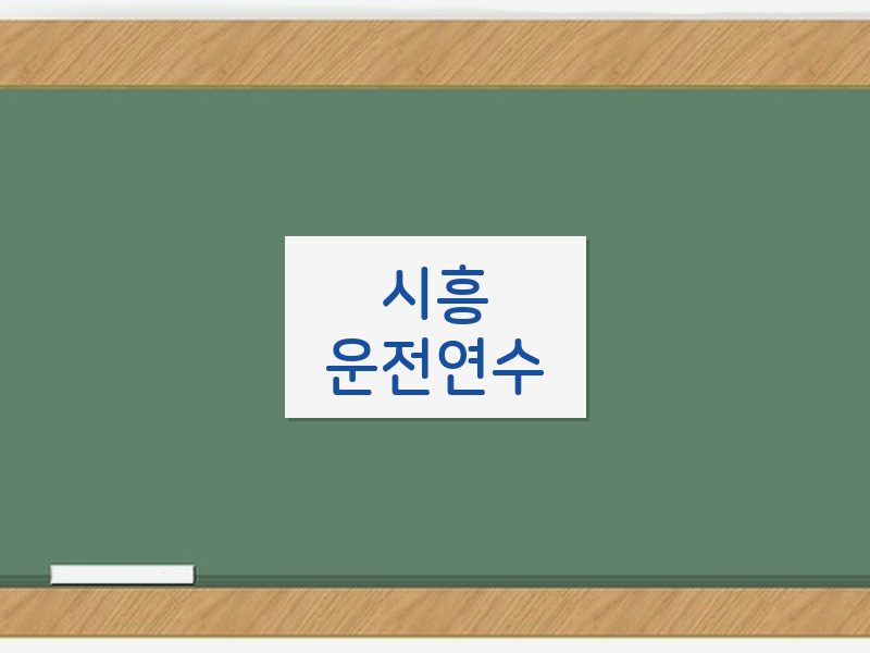 시흥운전연수 후기