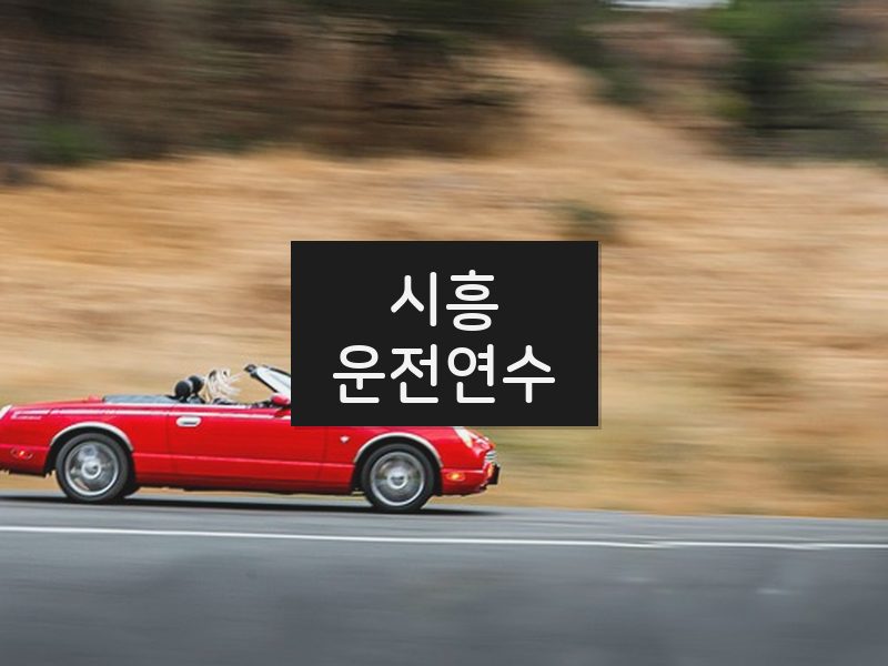 시흥운전연수 후기