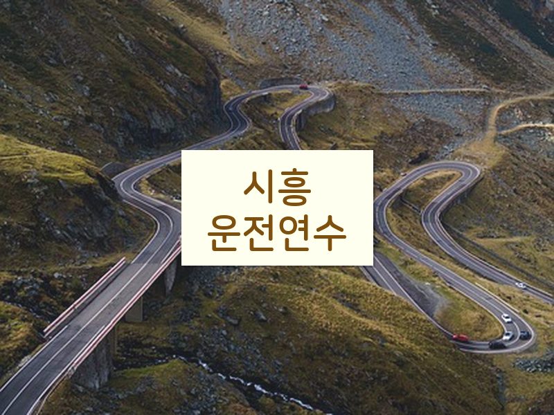 시흥운전연수 후기