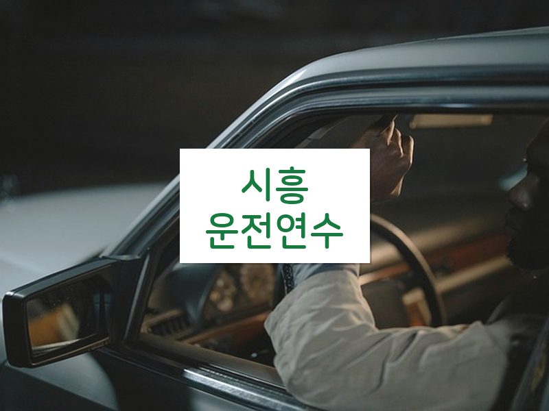 시흥운전연수 후기