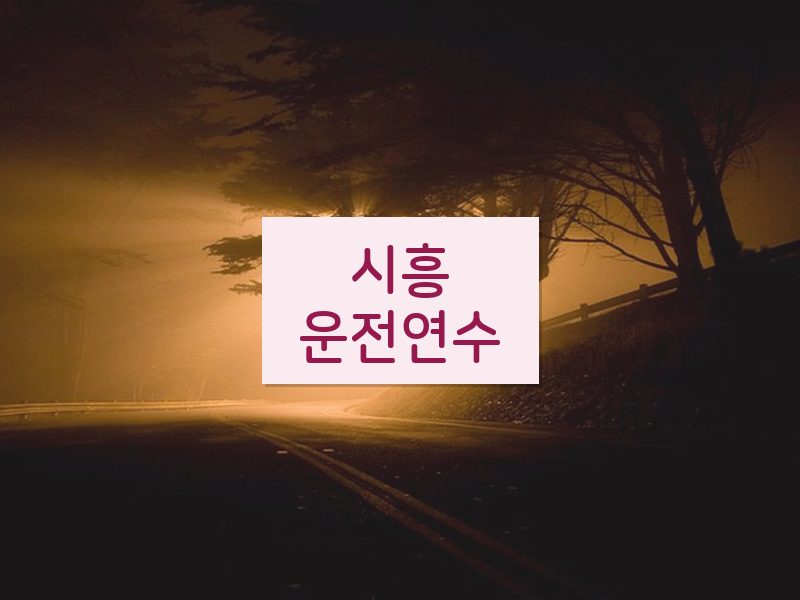 시흥운전연수 후기