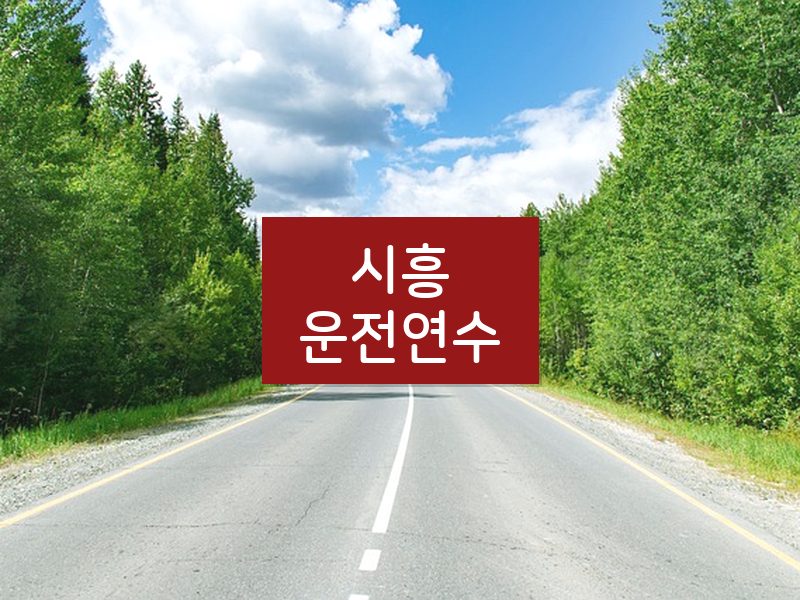 시흥운전연수 후기