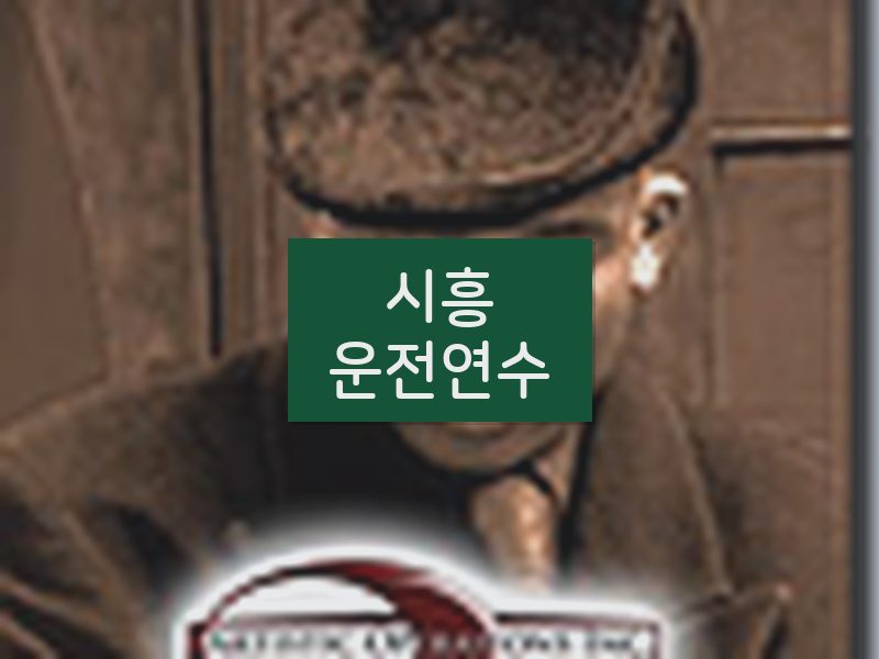 시흥운전연수 후기