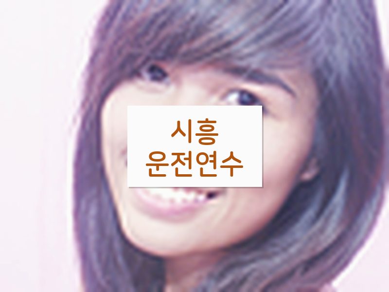 시흥운전연수 후기