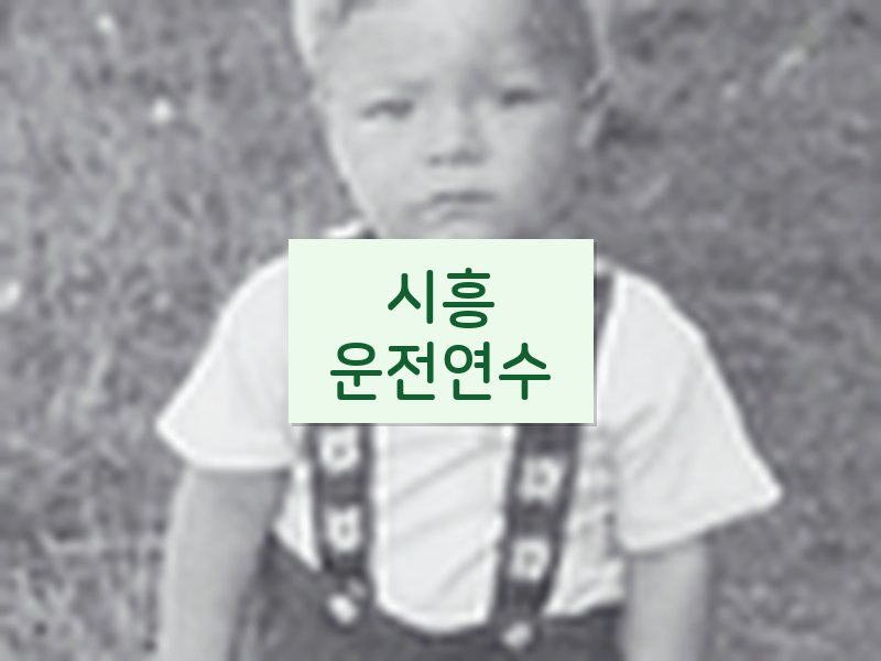 시흥운전연수 후기