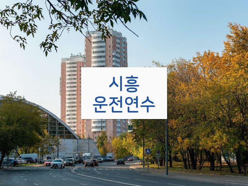 시흥운전연수 후기