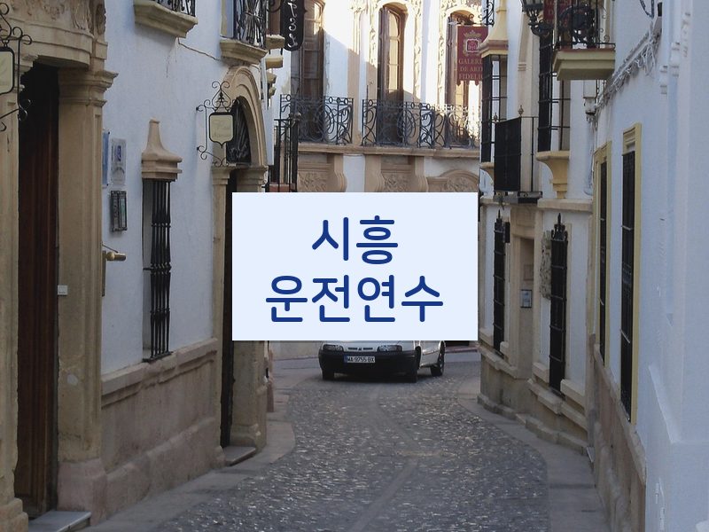시흥운전연수 후기