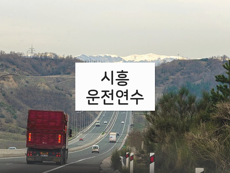 시흥운전연수 후기