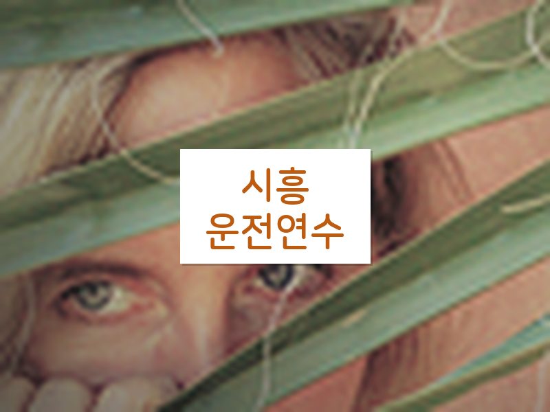 시흥운전연수 후기