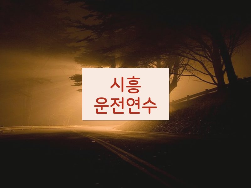 시흥운전연수 후기