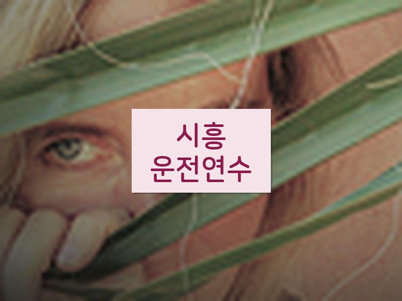 시흥운전연수 후기