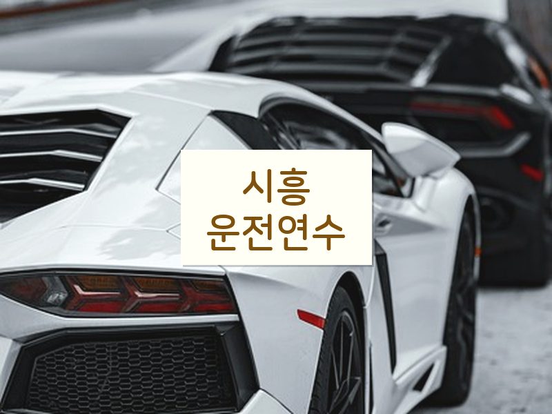 시흥운전연수 후기
