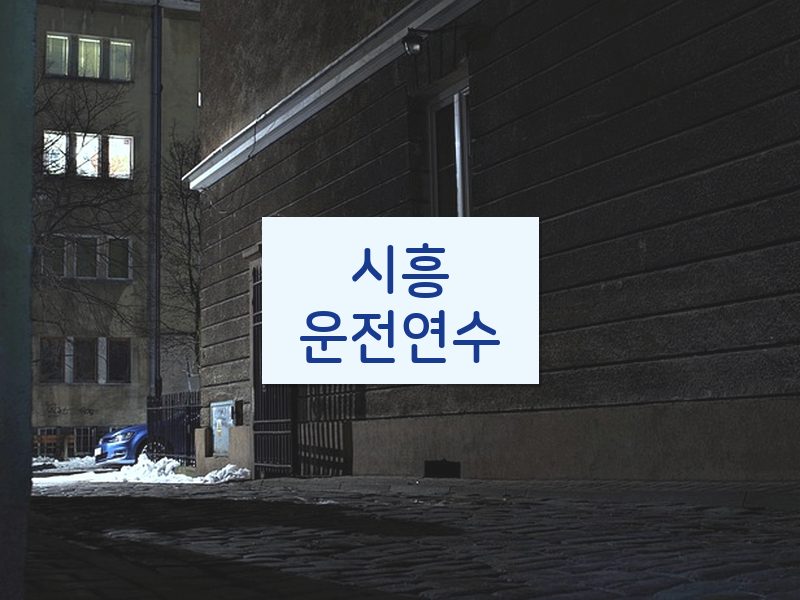 시흥운전연수 후기