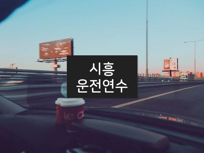 시흥운전연수 후기