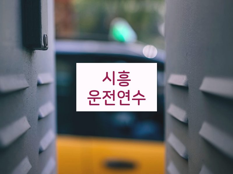 시흥운전연수 후기