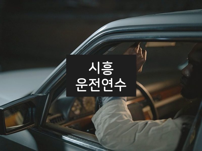 시흥운전연수 후기