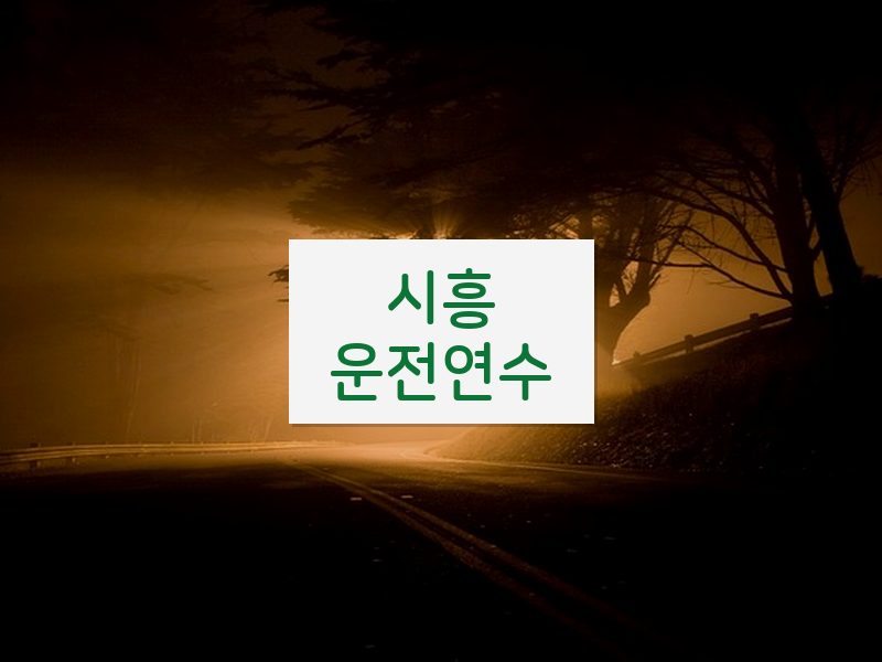 시흥운전연수 후기