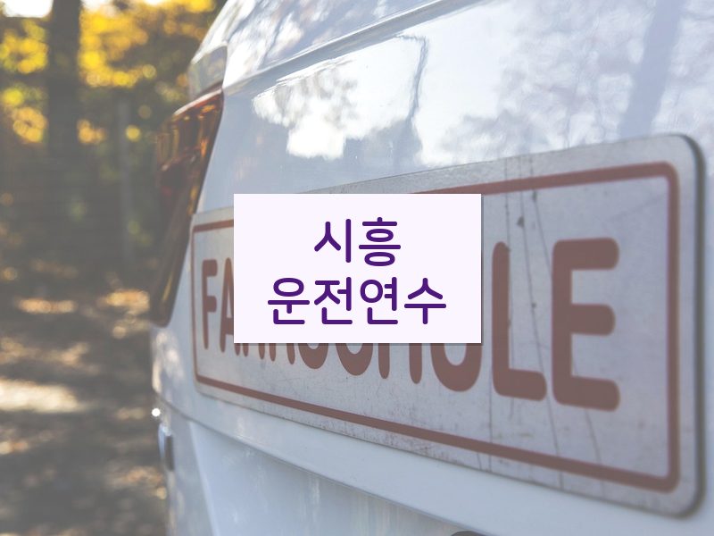 시흥운전연수 후기