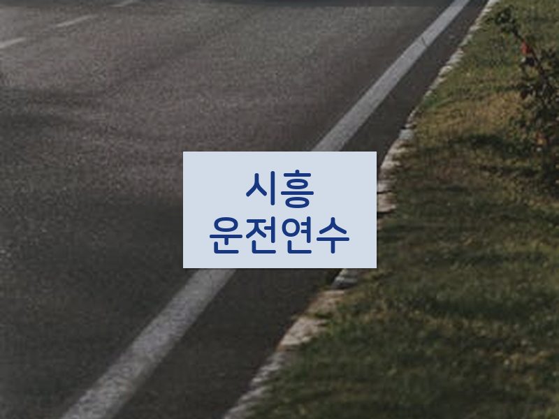 시흥운전연수 후기