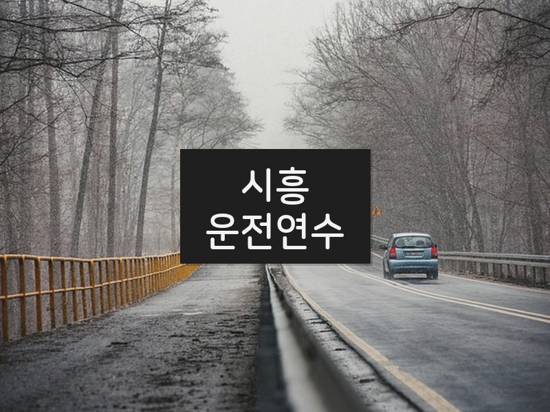 시흥운전연수 후기