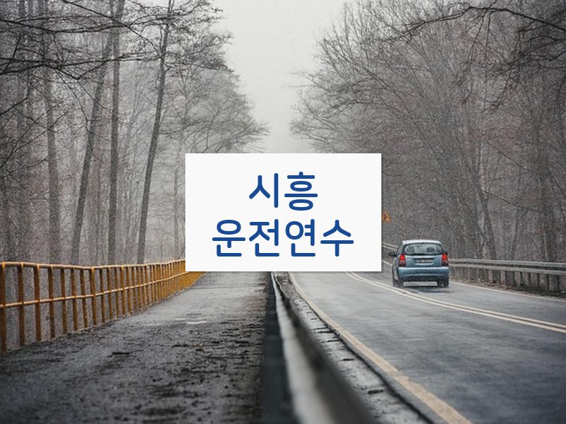 시흥운전연수 후기