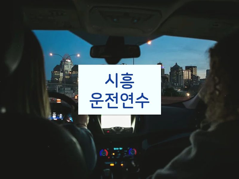 시흥운전연수 후기