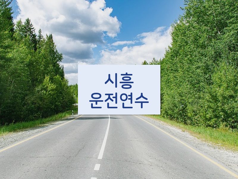 시흥운전연수 후기
