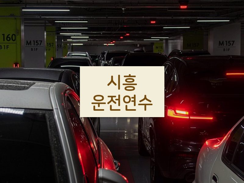 시흥운전연수 후기