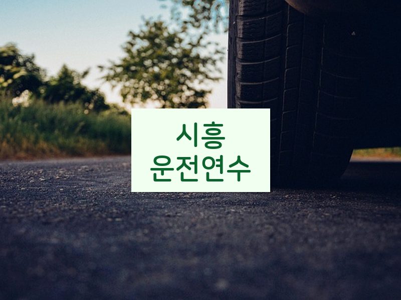 시흥운전연수 후기