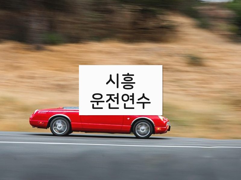 시흥운전연수 후기