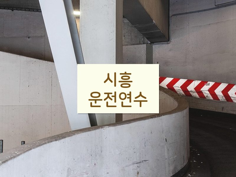 시흥운전연수 후기