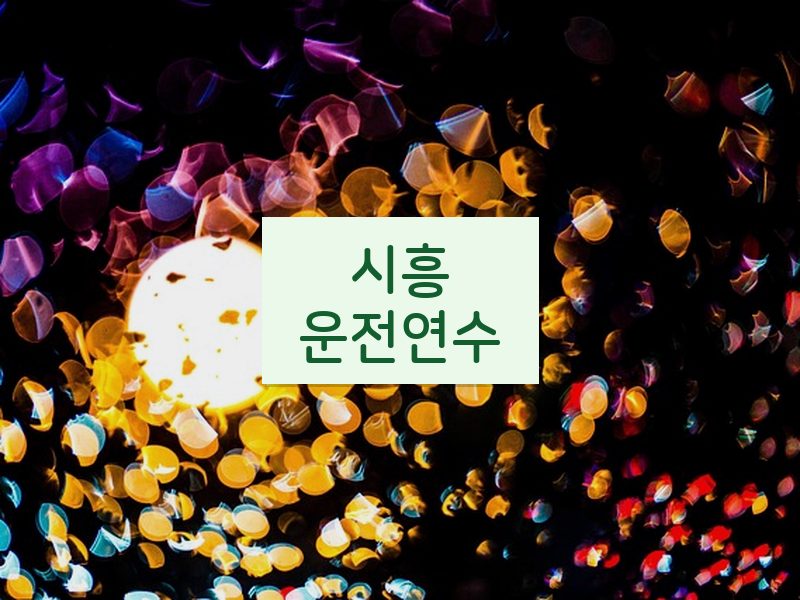 시흥운전연수 후기