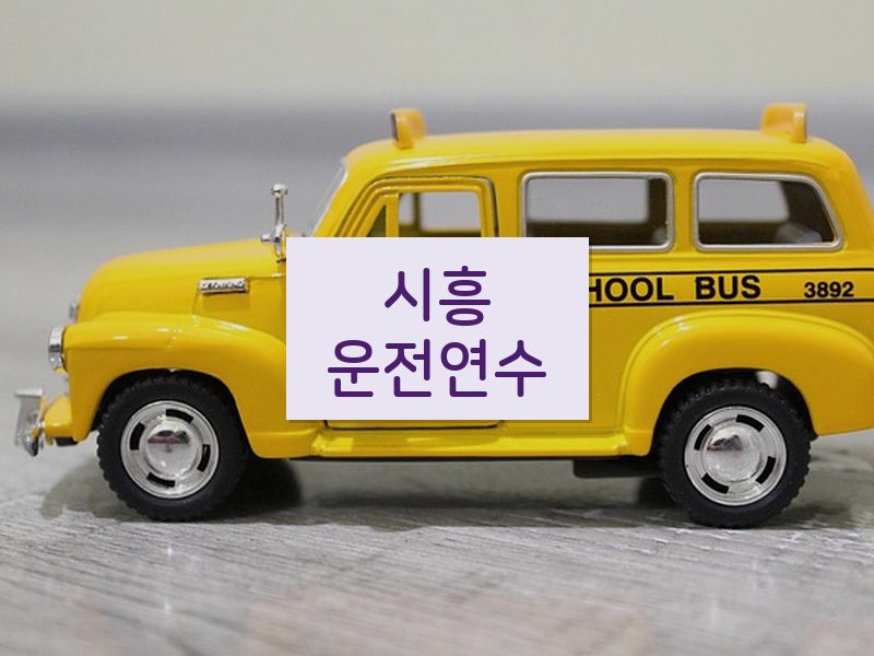 시흥운전연수 후기