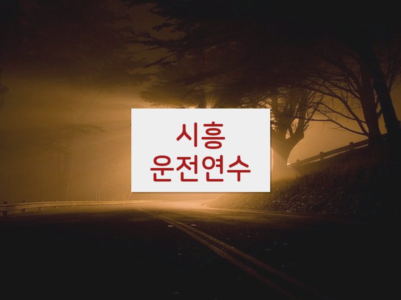 시흥운전연수 후기