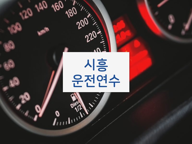 시흥운전연수 후기