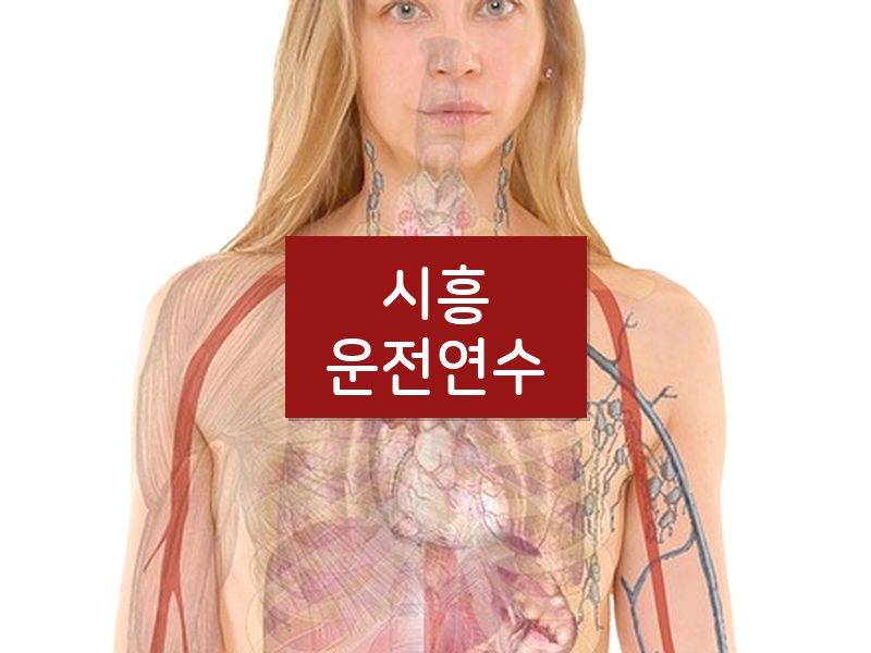 시흥운전연수 후기