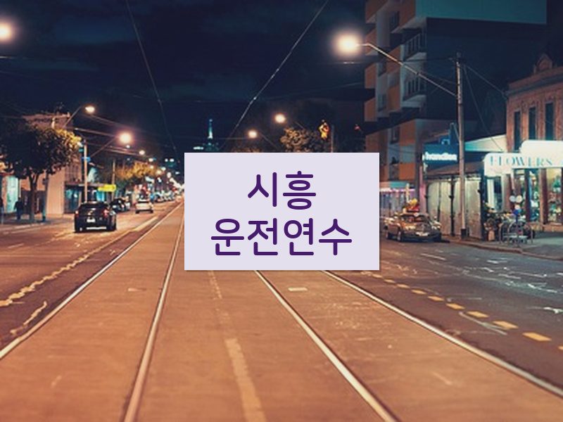 시흥운전연수 후기