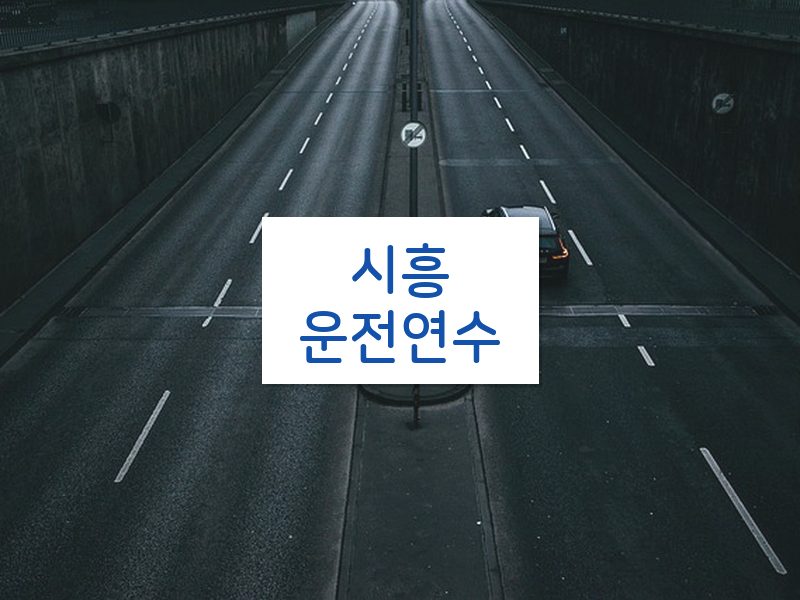 시흥운전연수 후기